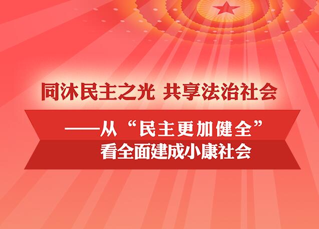 从“民主更加健全”看全面建成小康社会